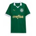 Palmeiras Estevao Willian #41 Heimtrikot 2024-25 Kurzarm